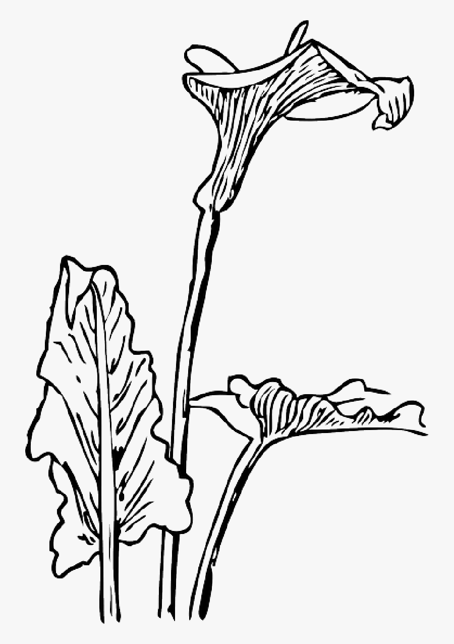 Art Nouveau Flowers Png, Transparent Clipart
