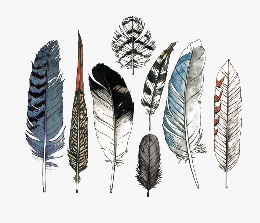 Watercolor Feathers, Transparent Clipart