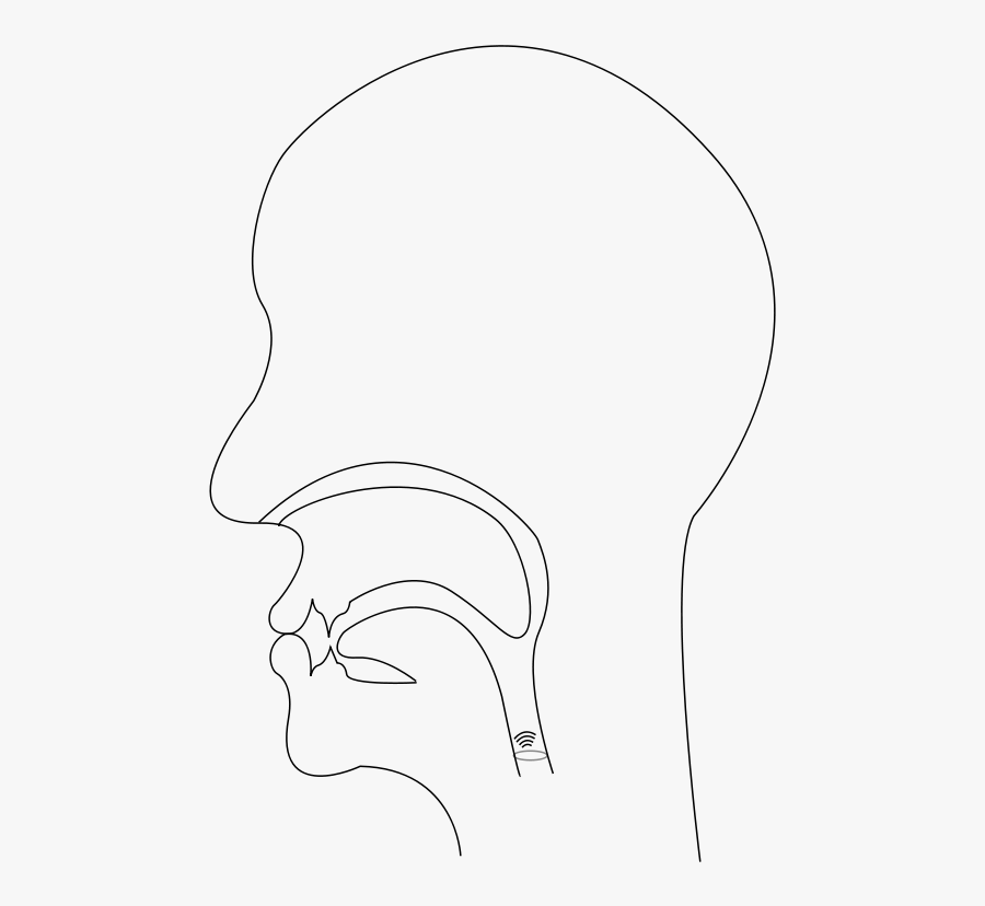 Sketch, Transparent Clipart