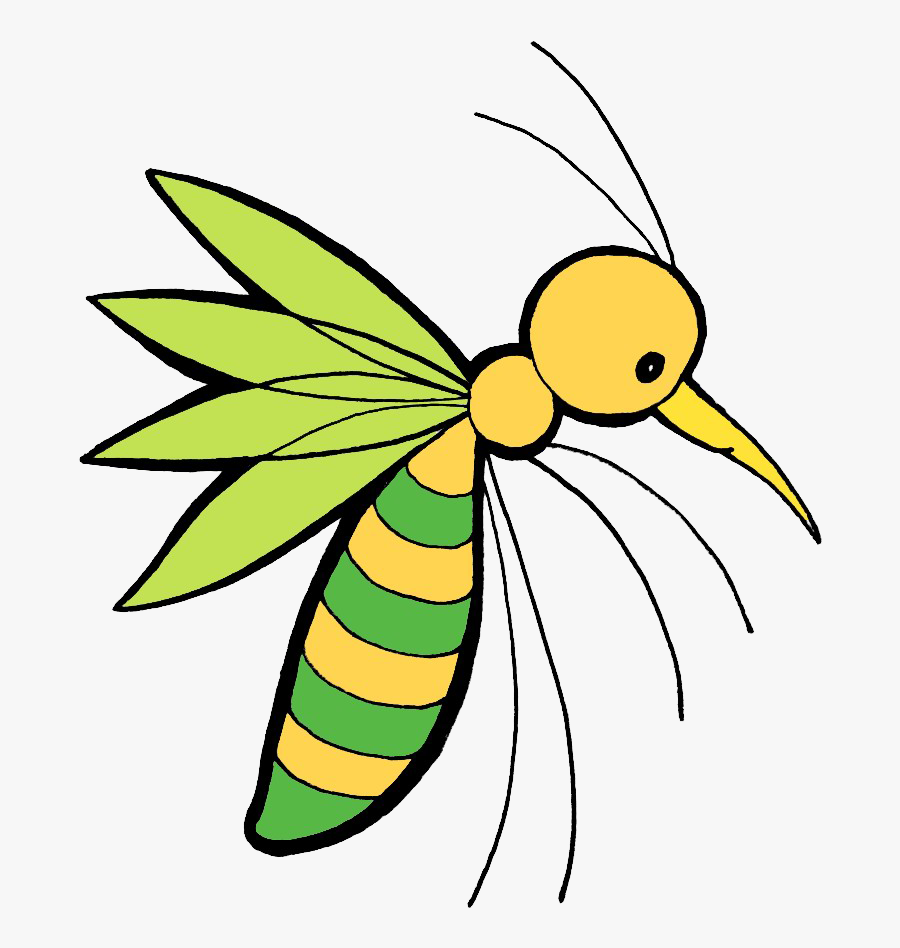 Honey Bee Insect Art - Mosquito, Transparent Clipart