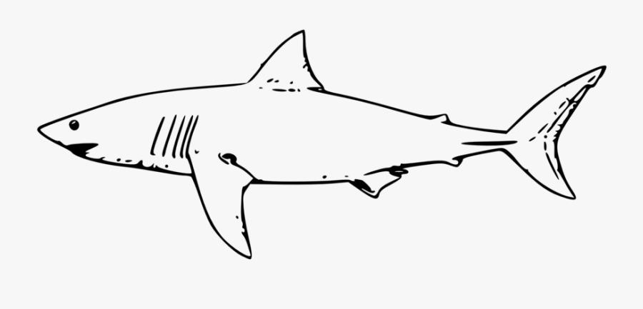 Great White Shark Clipart, Transparent Clipart