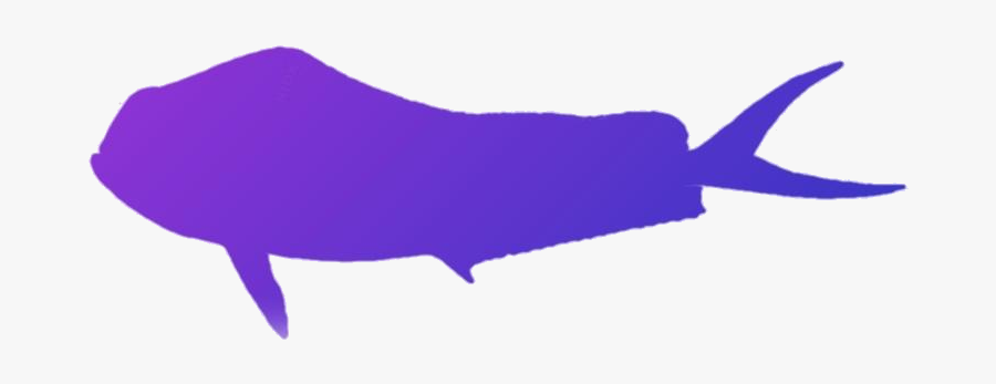 King Fish Lmahi Mahi Png Hd Image With Transparent - Whale, Transparent Clipart
