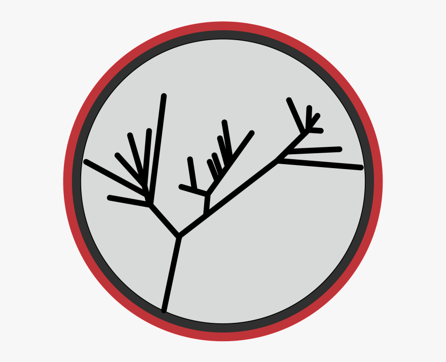 Parts Of The Hoof, Transparent Clipart