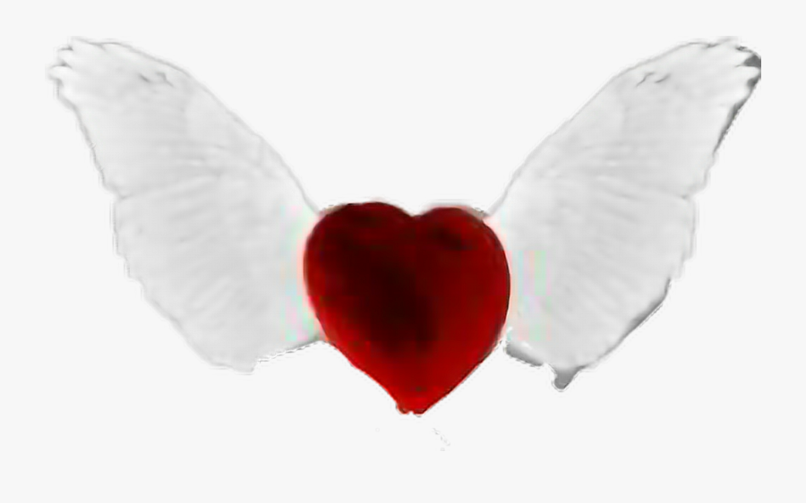 Transparent Heart With Wings Clipart - Love Heart With Wings, Transparent Clipart