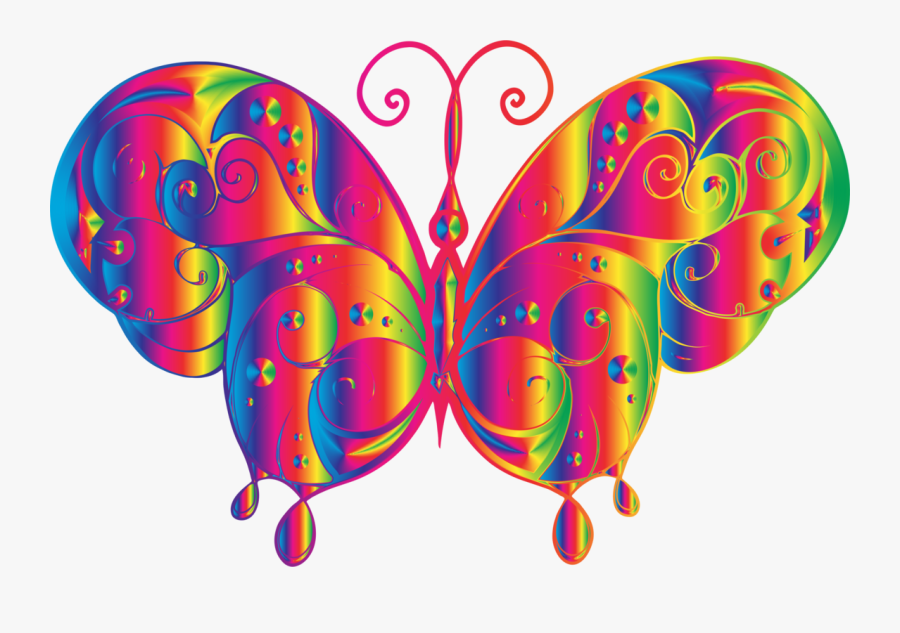 Butterfly,wing,insect, Transparent Clipart
