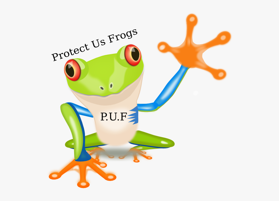 Tree Frog Animated, Transparent Clipart