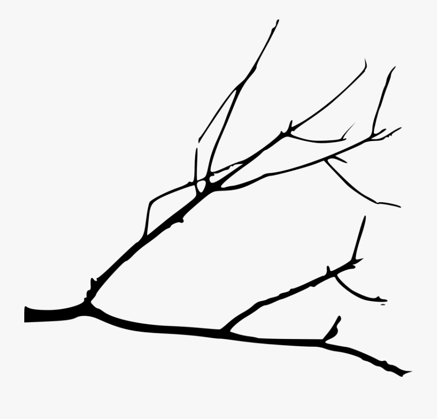 Free Png Simple Tree Branch Png Images Transparent - Tree Branches Drawing Png, Transparent Clipart