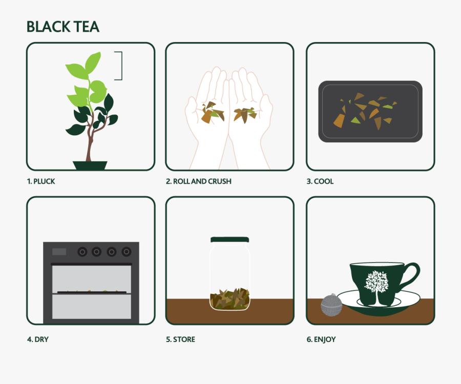How To Make Your Own Black Tea - Cartoon, Transparent Clipart