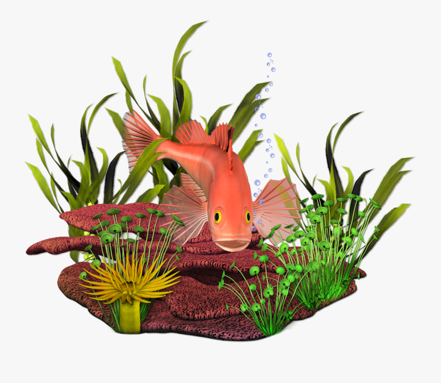 Transparent Ocean Plants Clipart - Clip Art, Transparent Clipart