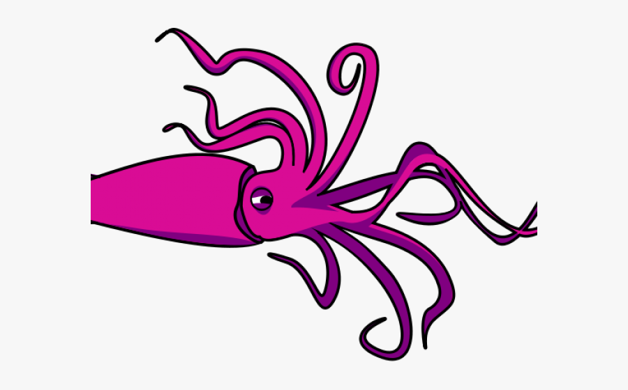 Mollusca Body Plan, Transparent Clipart