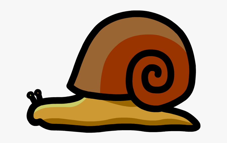 Lymnaeidae, Transparent Clipart