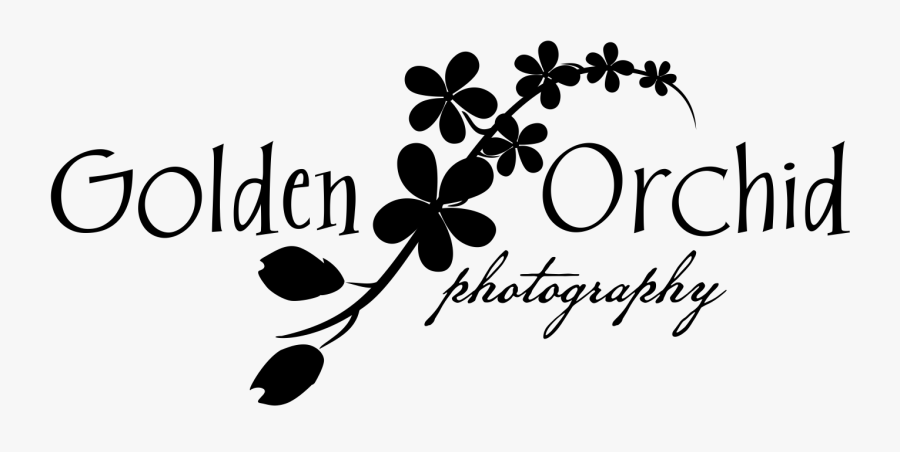 Golden Orchid Png Black Flower - Calligraphy, Transparent Clipart