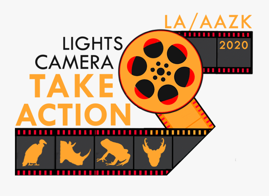 Picture, Transparent Clipart