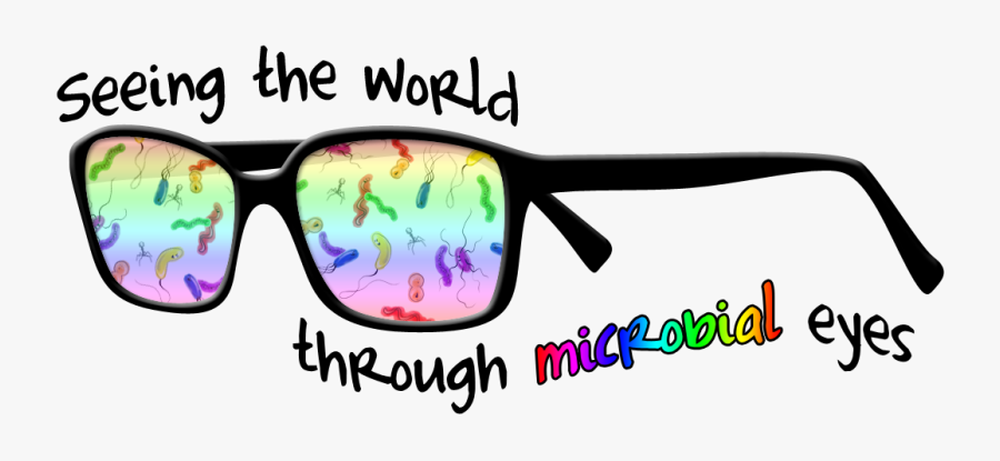 Funny Glasses Png - 3d Glass, Transparent Clipart