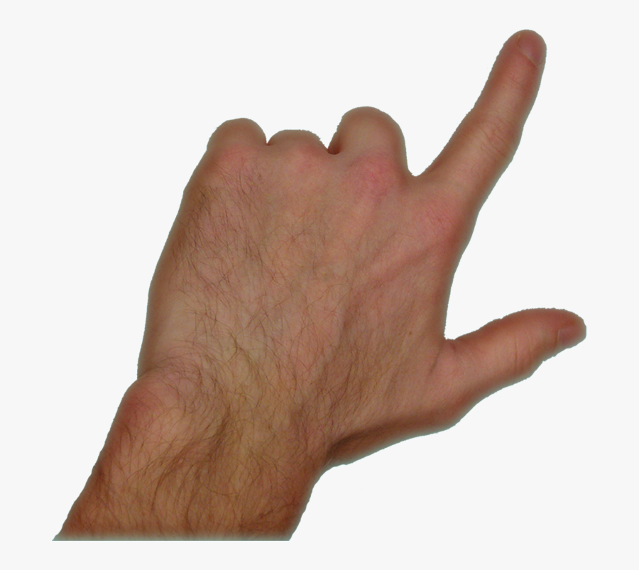 кисть левой руки строение анатомия. женская ладонь. пальцев кисти указательный. комнтрактура дюипетра. суставы кисти анатомия тыльная сторона.