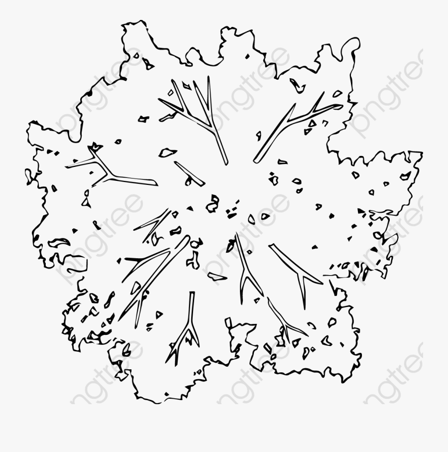 Transparent Pan Clipart - Tree Top View Drawing Png, Transparent Clipart