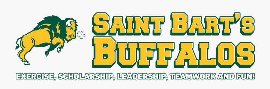 North Dakota State Bison, Transparent Clipart