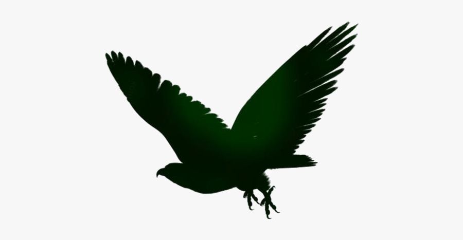 Tailed Hawk Bird Clipart Png - Eagle, Transparent Clipart