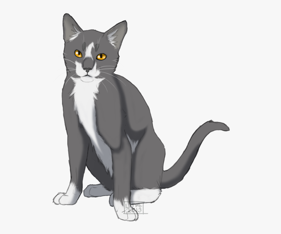 Clan - Thunderclan - Rank - Warrior Crush - Sunpelt - Warrior Cats Gray Cats, Transparent Clipart