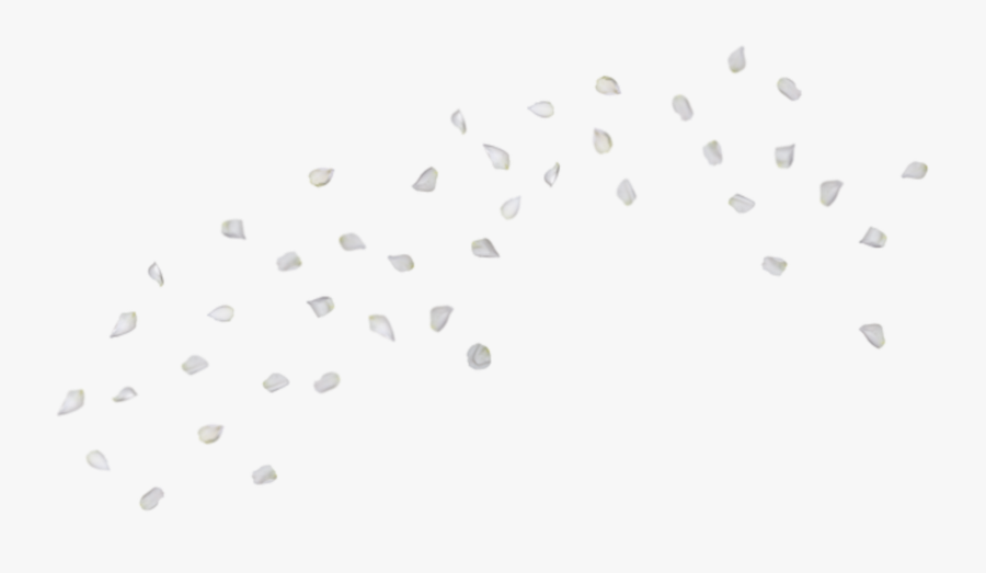 #ftestickers #flowers #rose #petals #falling #floating - Monochrome, Transparent Clipart