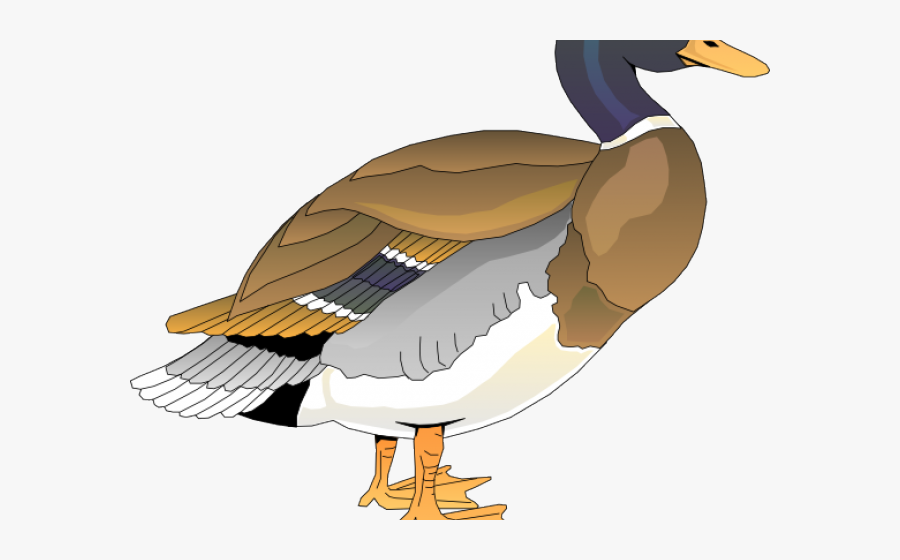Clipart Duck Png, Transparent Clipart