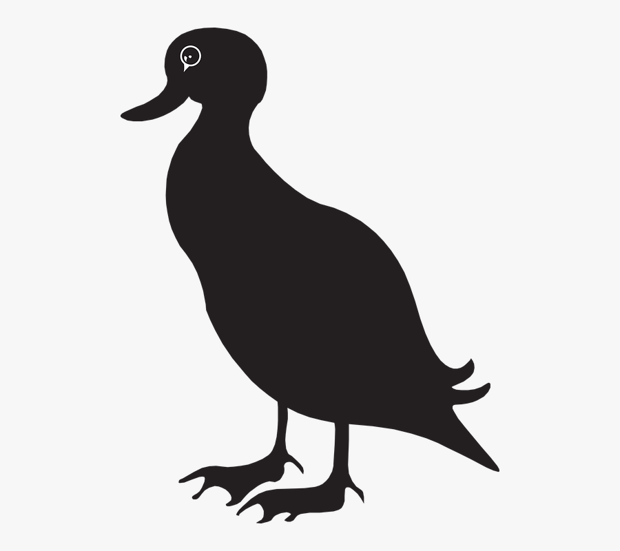 Duck, Animal, Farm, Collection, Goose, Wildlife - Black Ducks Clip Art, Transparent Clipart