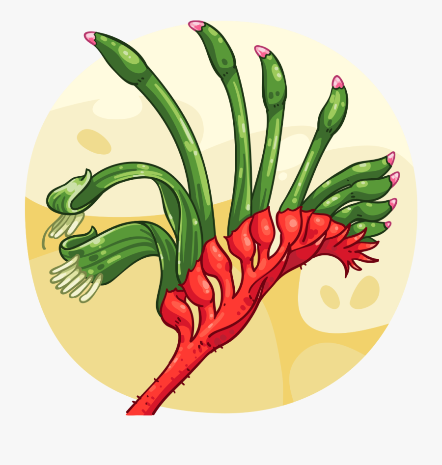 Pepper Clipart Green Item - Kangaroo Paw Cartoon, Transparent Clipart