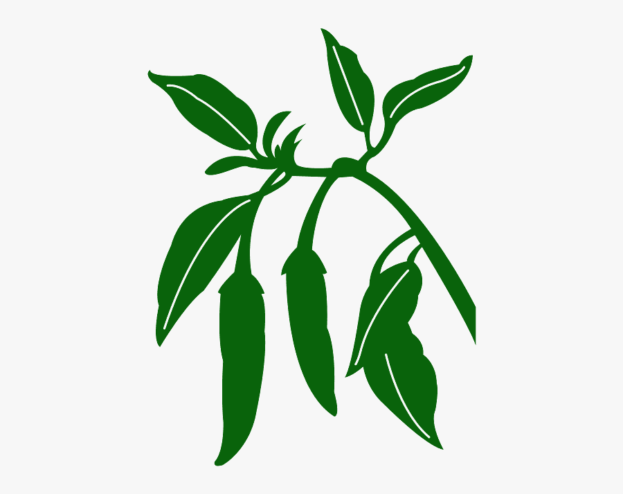 Pepper Silhouette, Transparent Clipart