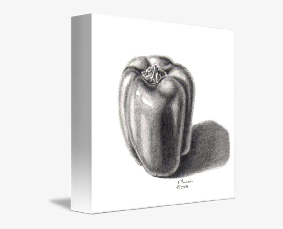 Drawing Vegetable Pepper - Green Pepper Drawing, Transparent Clipart