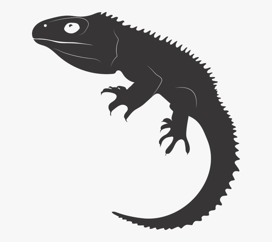 Transparent Reptiles Png - Reptiel Png, Transparent Clipart