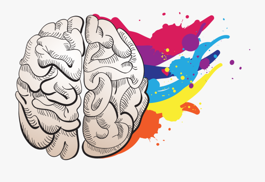 Creativity In Neuroscience, Transparent Clipart