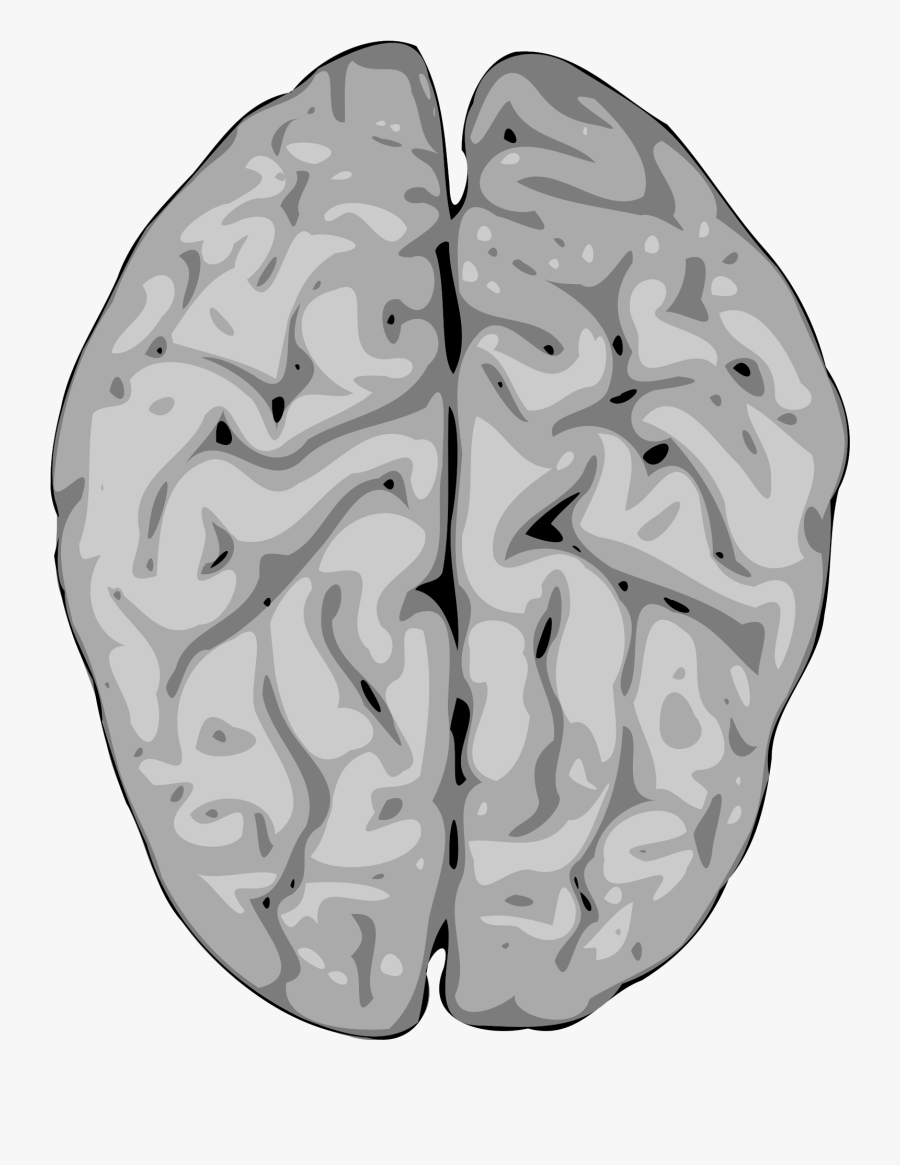 Grey Brain Clipart, Transparent Clipart