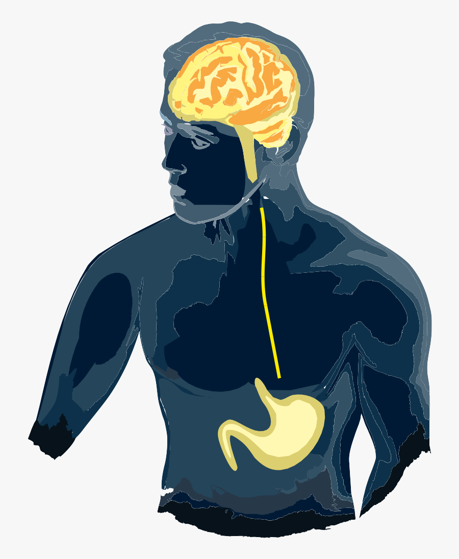 Gut Brain Axis Free, Transparent Clipart