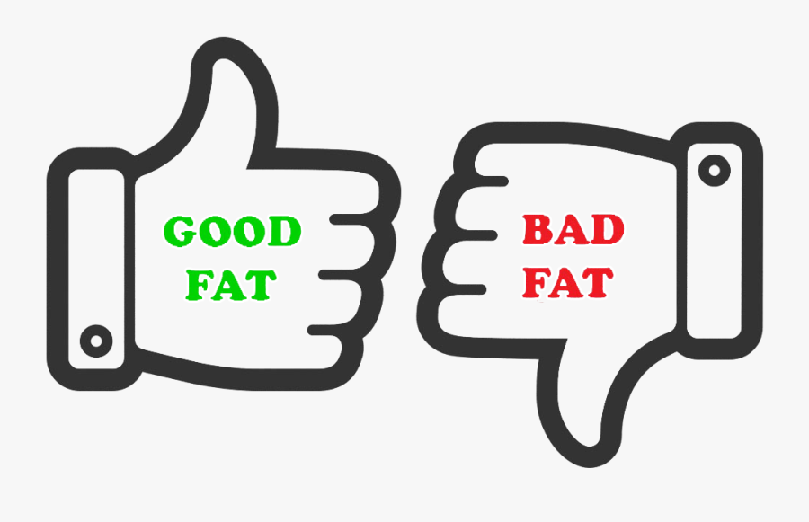 Hand"
 Src="images/fat Good Bad - Thumbs Down Clipart Black And White, Transparent Clipart