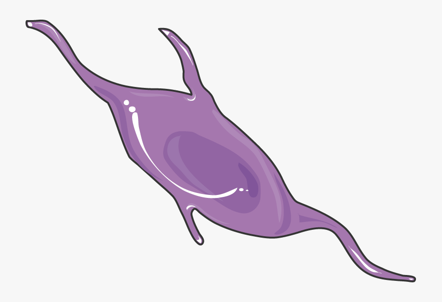 Animal Cell Clipart, Transparent Clipart