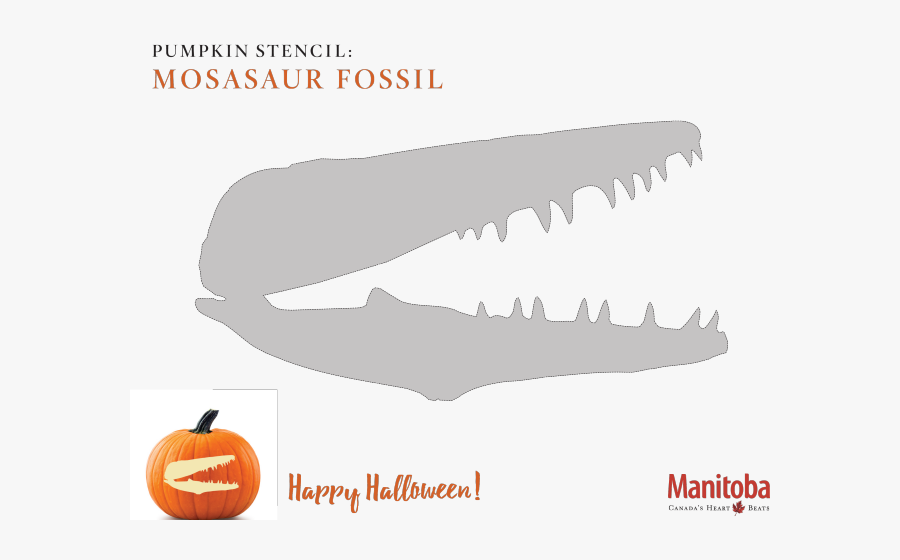 Snapchat Clipart Pumpkin Carving Stencil - Mosasaurus Pumpkin Carving, Transparent Clipart