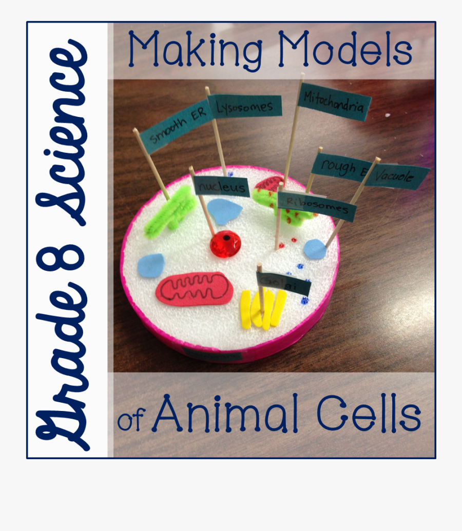 Animal Cell Project, Transparent Clipart