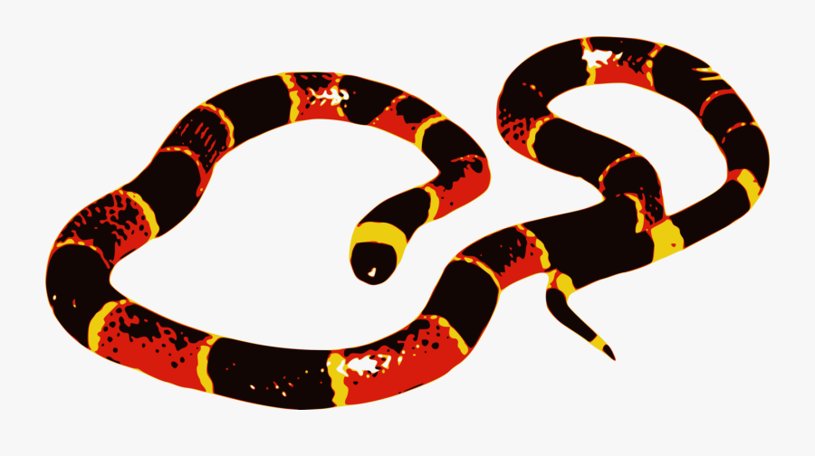 Coral Snake Clip Art, Transparent Clipart
