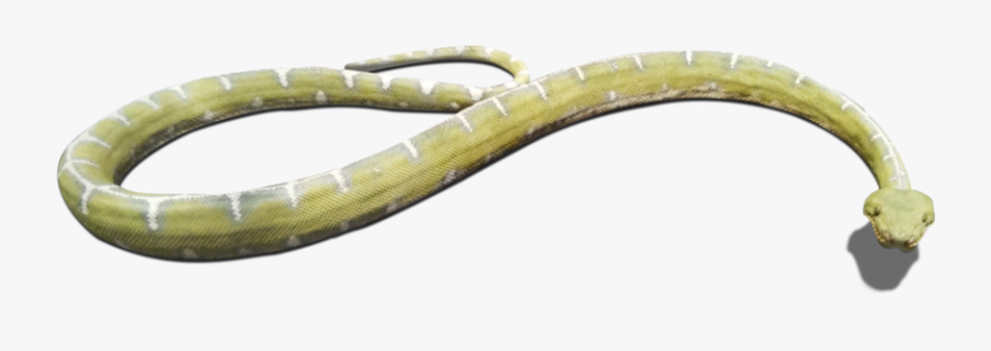 Download And Use Snake Png Clipart, Transparent Clipart
