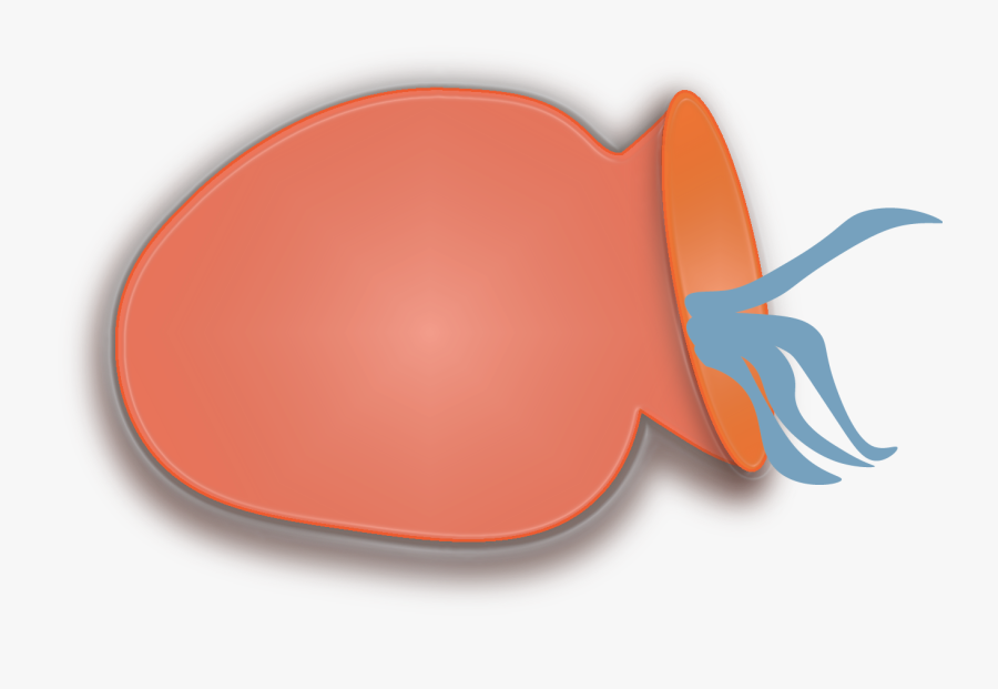 Invertebrate, Transparent Clipart