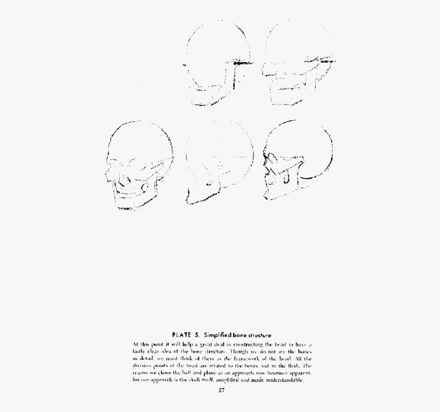 Andrew Loomis Drawing The Head And Hands 22 - Drawing, Transparent Clipart