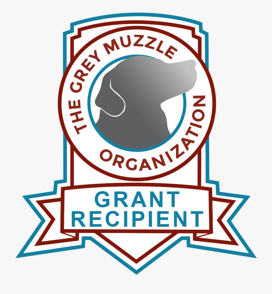 Grey Muzzle Organization, Transparent Clipart
