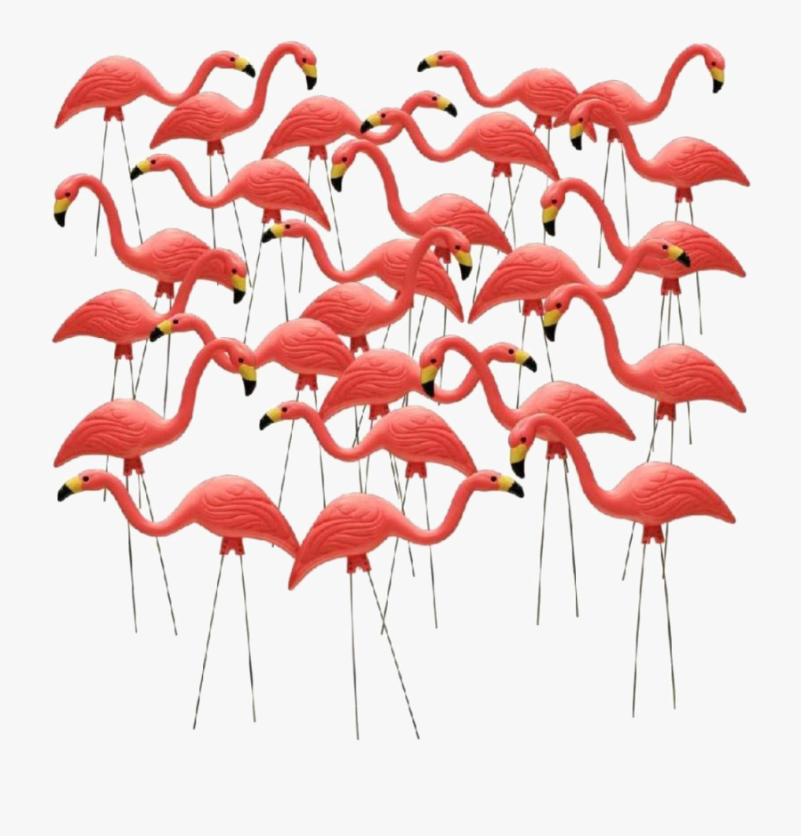 Pink Flamingos Garden, Transparent Clipart