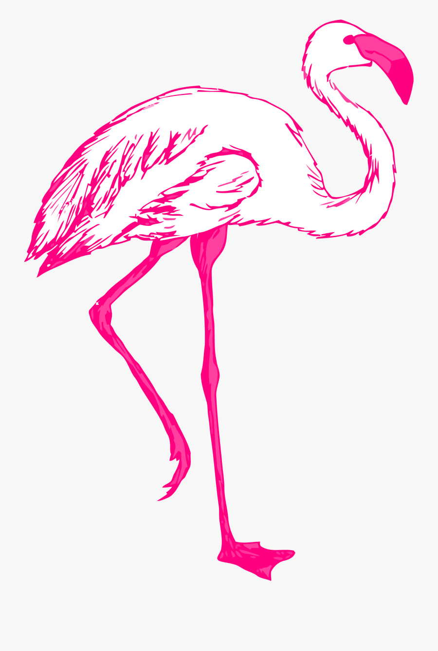 Pink Flamingo Outline Svg Hi Png - Transparent Background Flamingo Svg, Transparent Clipart