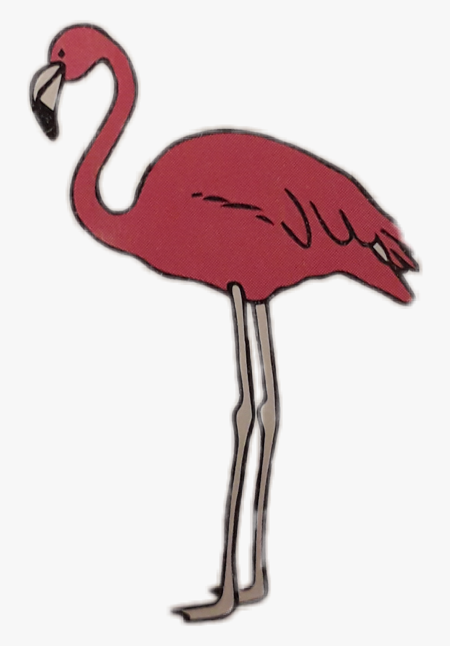#flamingo #sommer #rosa - Greater Flamingo, Transparent Clipart