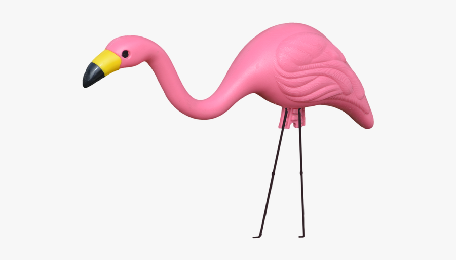 Flamingo,greater Flamingo,bird,pink,water Bird,beak,neck,animal - Lawn Flamingo Transparent Background, Transparent Clipart