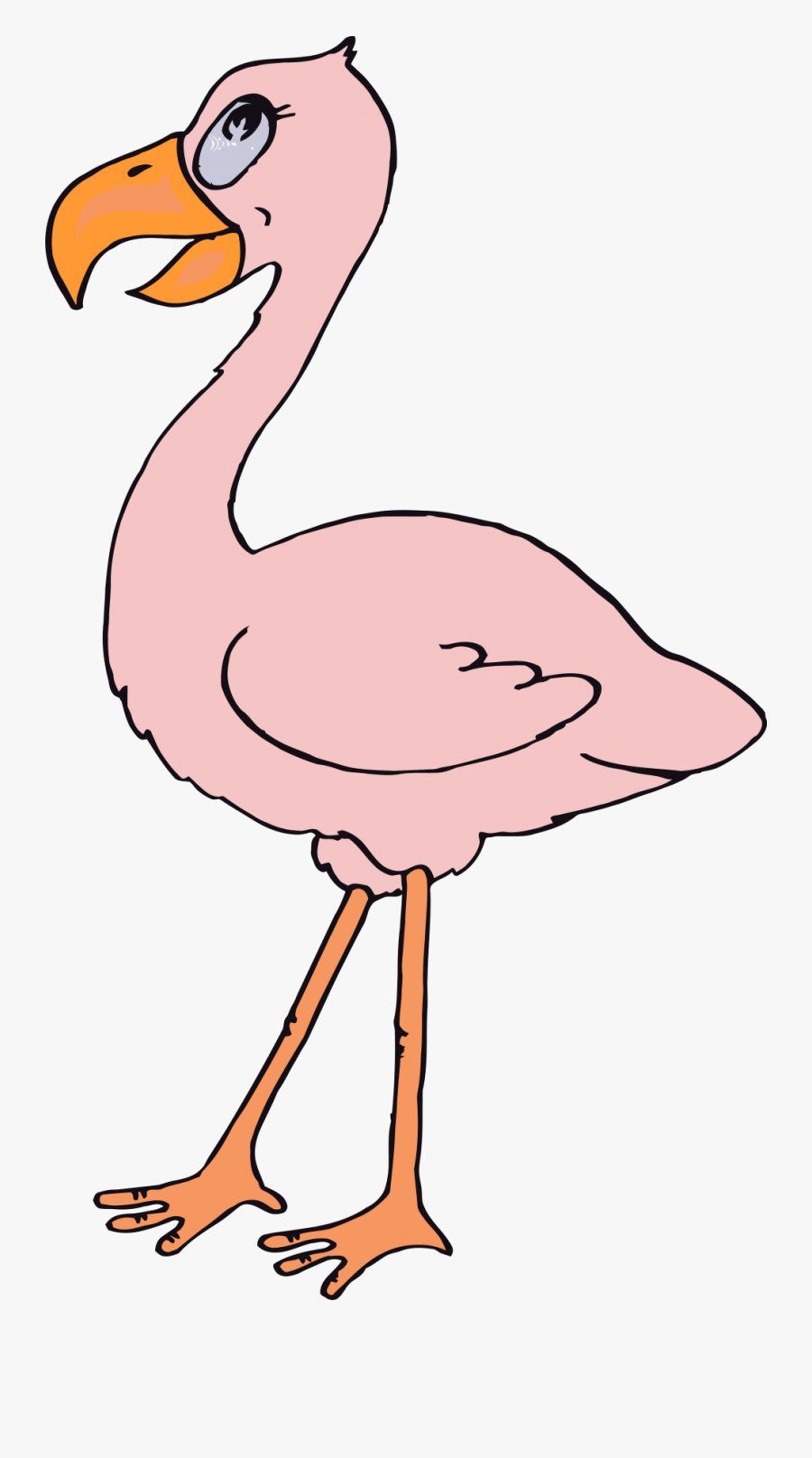 Dibujo Del Flamenco Andino, Transparent Clipart