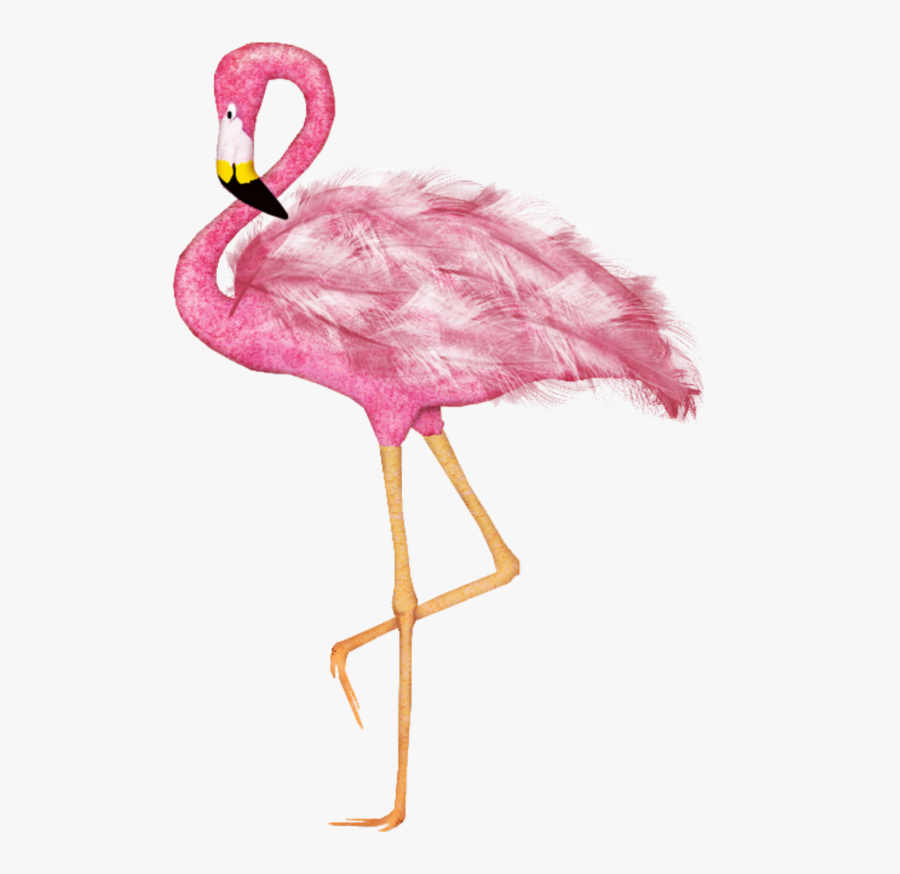#mq #pink #flamingo #flamingos #bird - Elias Chatzoudis, Transparent Clipart