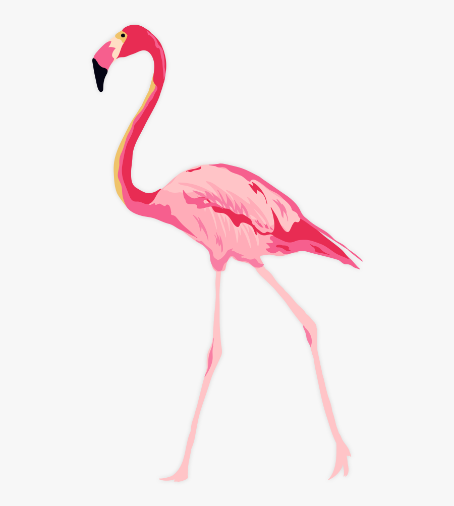 Explore Best Cellars - Free Flamingo Invitation Template, Transparent Clipart