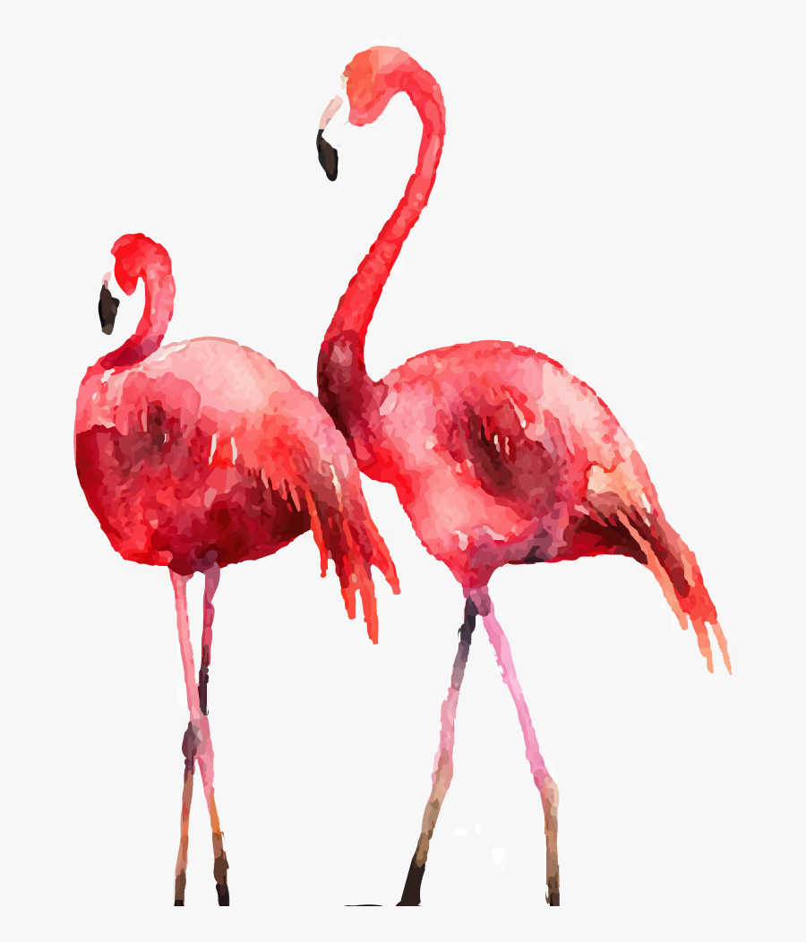 Flamingo Poster Printmaking Illustration - Flamingos Png, Transparent Clipart